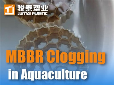 การป้องกันการอุดตันของ MBBR ในการเพาะเลี้ยงสัตว์น้ำ: กลยุทธ์การควบคุมแผ่นชีวะ...